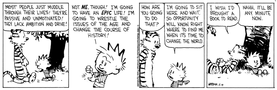 Calvin and Hobbes Opportunity