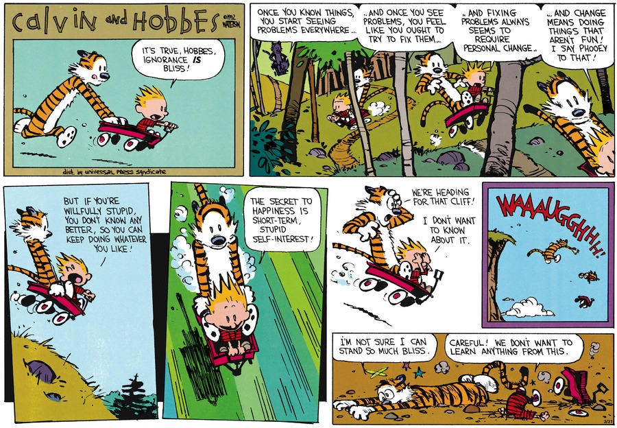 Calvin and Hobbes Self Interest